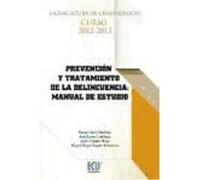 Prevención Y Tratamiento De La Delincuencia: Manual De Estudio - Suriá Martínez, Raquel Suriá Martínez, Raquel (Auteur)