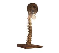 Prevessel Lampe squelette 3D LED en résine faite à la main pour Halloween, décoration de maison hantée, accessoire de tête de mort