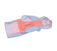 Prevessel Manteau Imperméable Coupe-Vent pour Grand Chien, Veste de Pluie à Capuche pour Animaux de Compagnie, pour des Aventures élégantes en Plein Air (2XL)