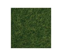 Priairie Avec Fleurs Sauvages Noch 6 Mm 50g 07100-Noch