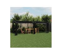 Vidaxl Tonnelle Avec Parois En Filet Anthracite 6x3 M Acier