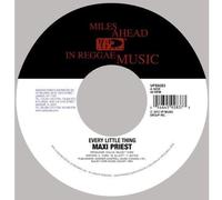 Priest,Maxi - Every Little Thing