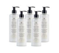 Prija Après-Shampooing Protecteur avec Extrait de Noyer Vert pour Tous Types de Cheveux, Nourrit et Protège les Cheveux des Agressions Extérieures avec Pompe Doseuse 5 x 380ml