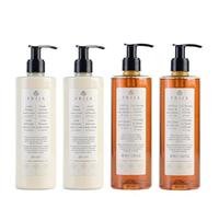 Prija Lot de 2 crèmes revitalisantes pour les mains et le corps + cheveux et corps au ginseng 2 x 380 ml Savon Wellness Spa Gel douche lotion pour le corps Lotion hydratante vitamine E et beurre de