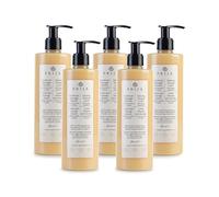 Prija Lotion de Massage Relaxante avec Aloe Vera et Huile de Cyprès, Crème Corporelle Rafraîchissante et Hydratante qui Vous Laisse une Sensation de Détente et de Bien-Être 5 x 380ml