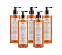 Prija Nettoyant revitalisant au ginseng. Nettoie en douceur et hydrate. Savon liquide vegan friendly avec parfum énergisant. 380ml x 5