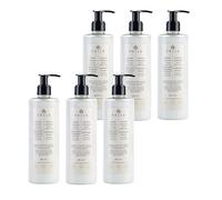 Prija Protective Hair Conditioner with Green Walnut Extract 6x 380ml