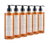 Prija Savon liquide au ginseng - 6 bouteilles de 380 ml - Revitalisant - Wellness Spa Hotel - Cosmétique hôtelière - Savon pour les mains - Vegan - Testé dermatologiquement