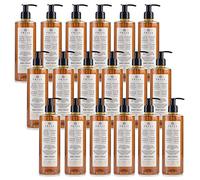 PRIJA Shampooing-gel douche liquide 2 en 1 à l'extrait de ginseng, avec pompe, vegan (18x380ml)