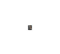 RUST-OLEUM Primaire & finition CombiColor Original – Antirouille – 750 ml Gris anthracite RAL 7016