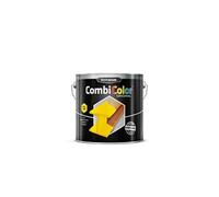 Primaire de protection et finition RustOleum CombiColor Original