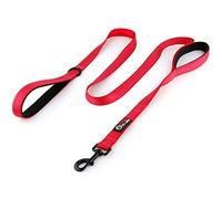 Primal Pet Gear Laisse pour Chien de 1,8 m de Long, rembourrée à Deux poignées, très résistante, Double poignées réfléchissantes pour Le contrôle de la sécurité, laisses pour Chiens de Grande ou