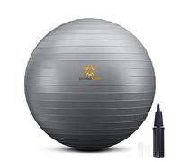 primasole PSS91NH068A Ballon de Yoga et d'exercice pour équilibre, stabilité, Fitness, Pilates, à la Maison, au Bureau et à la Salle de Sport avec Pompe de gonflage (74,9 cm, Gris argenté)
