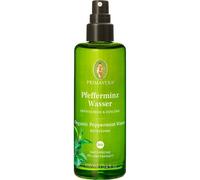 Primavera Aromatherapie Eaux-vegetales-bioEau de menthe poivrée Bio 100 ml