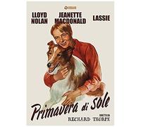 Primavera Di Sole Dvd Italian Import
