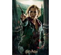 Puzzle 3d Harry Potter Hermione Granger Battle Prime3d (300 Pcs)