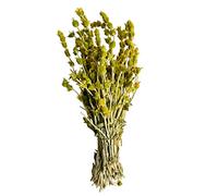 Prime Thé Grec Des Montagnes Bouquet 220g - 1.95Kg Sideritis Scardica (1950 grammes)