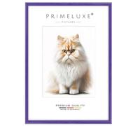 PrimeLuxe Massif Bois Cadres photo sur mesure Étroit 48 x 60 cm en Lila brillant | Taille sélectionnable | Verre acrylique incassable | Cadre pour affiches | Puzzle | Collage | EC125