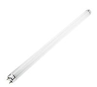 PrimeMatik - Tube Fluorescent pour Lampe Anti Insectes électrique UV T8 20W BL 587mm