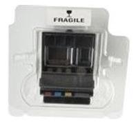 Semi-Permanent Print Head - Tête d'impression - pour Primera LX900e Color Label Printer