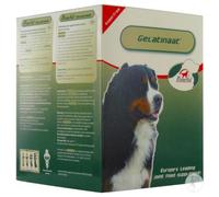 Primeval Chiens Artrose Gelatinate 500g