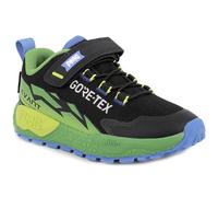 PRIMIGI Gore-Tex Storm GTX, Chaussures de Sport Mixte Enfant, Noir/Vert, 37