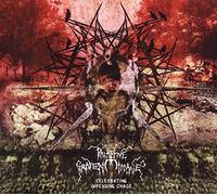 Primitive Graven Image – Celebrating Impending Chaos – CD – Import