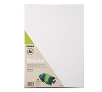 PRIMO Hobby & Professional Toile de peinture 25 l x 35 cm en carton toilé 100% coton sans acide pour peinture avec couleurs acryliques, huile, aquarelles, toiles pour peindre des peintures, loisirs