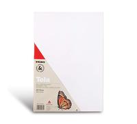 PRIMO Hobby & Professional - Toile Peinture en Cartons Entoilés 25x35x16,5 100% Carton, Toiles à Peindre avec Angles pour Fixer Cadres, Activité Manuelle, Loisirs Créatifs, Acid Free ne Jaunit Pas