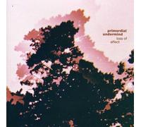 Primordial Undermind - Loss of Affect