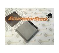 Prince Caspian and the Voyage of the Dawn Treader [VHS]