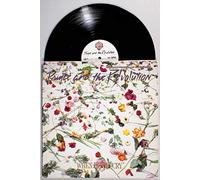 Prince & The Revolution - When Doves Cry [12" Maxi, DE, Warner Bros. 920 228-0]