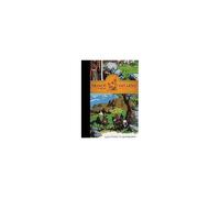 Prince Valiant Vol. 18