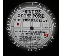 Princess Of The Posse / The Pun Project
