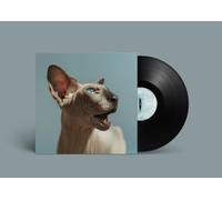 Princess Thailand - Golden Frames