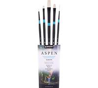 Princeton Aspen 6500 Lot de 5 pinceaux Professionnels pour Peinture Acrylique - Pinceau Princeton synthétique pour Peinture à l'huile Acrylique et Gouache