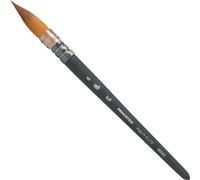 Princeton Brush Aqua Elite Brosser 6 1 pc