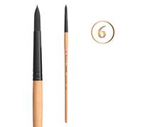 Princeton Catalyst Series P6400 Ronde Taille 6 Manche Long