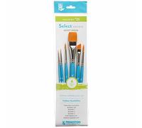 Princeton Set de 6 pinceaux Select Artiste Mixed Media n°22