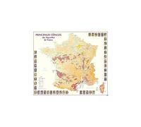 Principaux Cepages Vignobles de France (25)