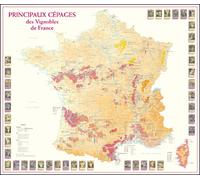 Principaux cepages vignobles de france 77 cm x 66 cm - Benoît France - Benoit France - Grand format - Atlas / carte