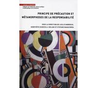 Principe de précaution et métamorphoses de la responsabilité Années 2013-2016 - Luca Ambrosio - Mare & Martin - broché - Etude
