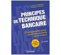 Principes De Technique Bancaire - L'indispensable Pour Les Professionnels De La Finance