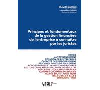 Principes et fondamentaux de la gestion financière de l'entreprise à connaître par les juristes - Michel Di Martino - Legitech - broché - Etude