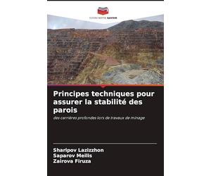 Principes techniques pour assurer la stabilité des parois