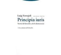 Principia Iuris. Teoría Del Derecho Y De La Democracia: 3. La Sintaxis Del Derecho Luigi Ferrajoli (Auteur)