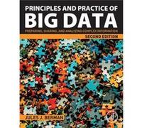 Principles and Practice of Big Data by Berman & Jules J. Freelance author with expertise in informatics & computer programming & and cancer biology Inconnu (Auteur)