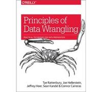Principles of Data Wrangling by Connor Carreras Tye Rattenbury, Joseph M Hellerstein, Jeffrey Heer, Sean Kandel (Auteur)