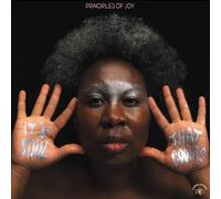 Principles of Joy – It's Soul That Counts (avec livret 12 pages) – Vinyle – Broken Silence