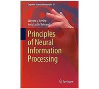 Principles Of Neural Information Processing